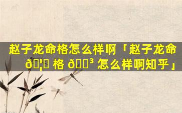 赵子龙命格怎么样啊「赵子龙命 🦈 格 🌳 怎么样啊知乎」